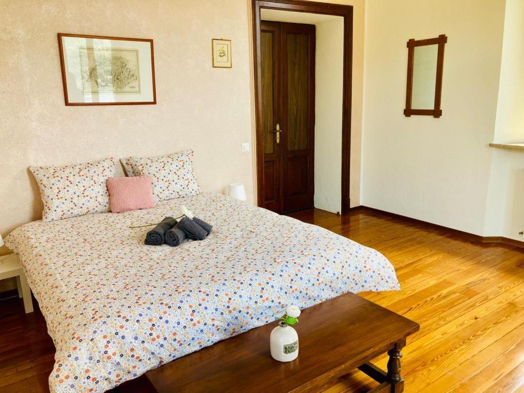 موركوت Villa Antonietta المظهر الخارجي الصورة